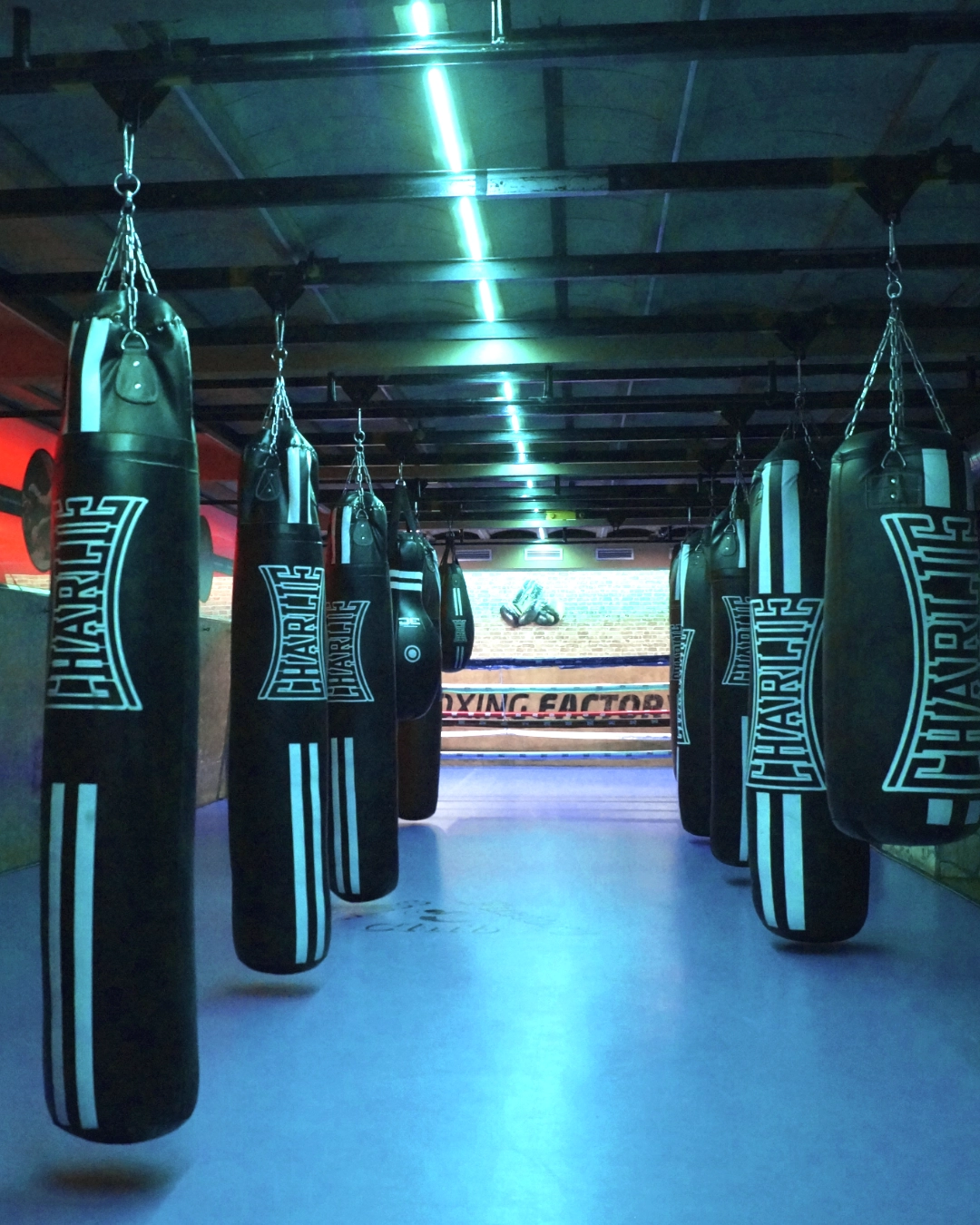 Fotos instalaciones Campus esportiu d'estiu Fitness Factorry Club Mataró